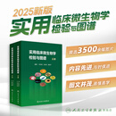 现货 实用临床微生物学检验与图谱 上下册 陈东科病原微生物技术方法病原体流行病学分析病毒细菌真菌寄生虫鉴定药敏试验医院感染监测百科