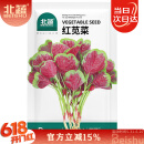 北蔬红苋菜种子种苗圆叶汉菜种子四季蔬菜种籽 北蔬红苋菜种子4000粒