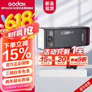 神牛AD200proII二代闪光灯外拍补光灯高速同步TTL频闪便携摄影补光灯户外摄影灯【官方标配】