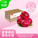 京鲜生 广西树上熟红心火龙果4.5斤装 单果300g+ 生鲜水果 源头直发