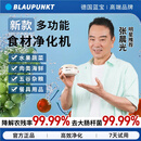 蓝宝BLAUPUNKT果蔬清洗机食材净化机无线便携式水果蔬菜家用食材净化机小型全自动清洗蔬菜去农残 白色