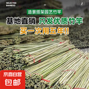 竹竿菜园搭架豆角黄瓜番茄爬藤架园艺篱笆围栏旗杆葡萄架批发 30根 1.8-2厘米粗2米长