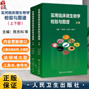 实用临床微生物学检验与图谱上下册 陈东科等 病原微生物检验技术与方法病原微生物流行病学分析方法人民卫生出版社9787117376211