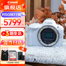 佳能（Canon）EOS R50 入门级微单反 半画幅数码相机 4k美颜小巧便携 EOS R50白 单机身旅行版 （拆）