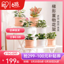 爱丽思（IRIS）花架塑料露台台阶花盆架子园艺用品阳台种菜盆支架花架落地式 WS900白三层宽90*高67*进深75cm