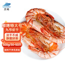 灵略九节虾干即食烤虾干大虾干 净重500g 原味对虾干 零食 海鲜干货