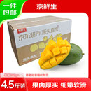 京鲜生 攀枝花凯特芒果 净重4.5斤 单果300g+ 生鲜水果源头直发