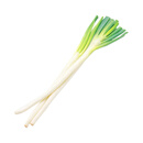 【农户直通车】大葱500g 