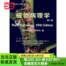植物病理学