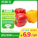 京鲜生山东双色五彩椒净重3斤装 单果180g起源头直发【搜生鲜馆】