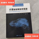 【二手9成新】犬猫放射解剖学图谱 /舍比茨 辽宁科学技术出版社