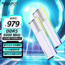 阿斯加特（Asgard）32GB(16GBx2) DDR5 6000 台式机内存条 女武神·瓦尔基里II代 RGB灯条 海力士A-die CL28 极地白