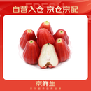 京鲜生 黑金刚莲雾 净重1斤装 5-8个 单果60g起 生鲜水果