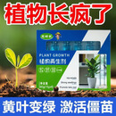 植物再生剂通用型浓缩营养液y 5盒装30支【绿植+壮根促花】实惠装（推荐）