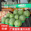 西瓜固定圈西瓜垫圈托架水果店防滑固定塑料垫圈摆西瓜防滑陈列圈 中号15cm【9-15斤西瓜专用】 12个