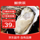 鲜京采【活鲜】生蚝净重5斤 5XL 9-12只左右 源头直发 海鲜水产
