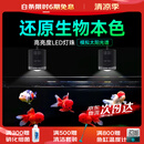 马印筒灯全光谱LED鱼缸灯金鱼锦鲤爆藻增色灯 100W超色筒灯+支架【5-100W  可调节】