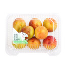 其他品牌【农户直通车】运城脆蜜黄油桃约1kg