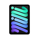 【99成新】Apple/苹果 iPad mini (A17 Pro) 8.3英寸 平板电脑(256G WLAN版/mini7/MXNA3CH/A)深空灰色  