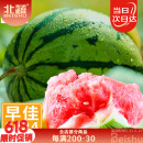北蔬 西瓜种子种籽苗麒麟8424冰糖甜西瓜南北方春季 8424西瓜种子60粒