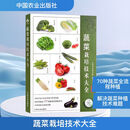 蔬菜栽培技术大全 蔬菜种植技巧 栽培技术知识 中国农业出版社 图书