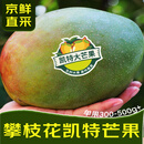 庾丰新鲜芒果当季新鲜现摘孕妇水果 热带整箱应季大青皮芒果 四川凯特 5斤装（净重4.5斤） 单果200g+