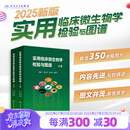 实用临床微生物学检验与图谱上下册陈东科病原微生物技术方法病原体流行病学分析病毒细菌真菌寄生虫鉴定药敏试验医院感染监测百科【预售】
