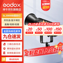 神牛（Godox）补光灯sl200biw双色温摄影常亮灯直播补光灯视频直播补光灯直播人像拍照美颜柔光灯影视灯 SL200BI单灯 官方标配