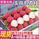 四叔公果蔬双肩玉荷包荔枝广东【JD/顺丰-闪送】比桂味糯米糍晚新鲜水果礼盒 【金标】稀缺贡品果（单果25g+） 【超值推荐】5斤爽吃装 净4斤