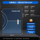 智园通12路 庭院花园智能配电箱远程控制灯光水景系统 漏电保护 10路高压＋2路低压灯具1000W