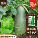 北蔬 萝卜种子苗水果青萝卜甜脆生吃秋季种蔬菜种籽 沙窝萝卜种子20g