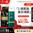 施华蔻（Schwarzkopf）怡然一按染泡泡染发乳3.0摩卡暖棕 染发剂植物染发膏轻松多次盖白