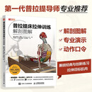 普拉提床拉伸训练解剖图解 普拉提运动解剖学 人邮体育出品