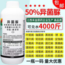 40%异菌腐霉利果树蔬菜番茄辣椒柑橘葡萄草莓灰霉病菌核病专用药 50%异菌脲1000g*10瓶/箱