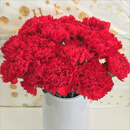 鲜花云南直发康乃馨基地同城速递配送水养花束昆明生日礼物 单头康乃馨红色10枝