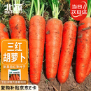 北蔬 胡萝卜种子苗三红七寸参秋季蔬菜种籽 新黑田红笋胡萝卜种子10g