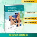 触诊技术：体表解剖（第3版）