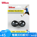 Wilson壁球球单黄点红点双黄点专业壁球训练球初学入门进阶 WRT617600双黄点（2粒）