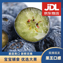 SHINE GRACE【JD包邮】新鲜高山蓝莓鲜果现摘当季孕妇宝宝应季水果送礼整箱 单盒100-120g 【中果12mm+】8盒—净重810g+