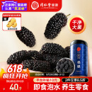 同仁堂品牌北京同仁堂黑桑葚干桑椹干500g即食免洗桑葚水果泡水养生茶