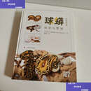 【二手9成新】球蟒 /斯蒂芬·布罗格哈默 上海科学技术