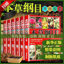 京品图书本草纲目李时珍图解原著6册 中医养 生大全 中 医基础理论 中 药 6册本草纲目插图本无删减