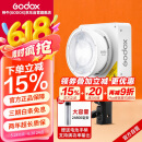神牛（Godox）ML100Bi摄影灯双色温可调便携夜拍灯人像补光灯户外控制室电影视频摄像灯  ML100Bi【官方标配】