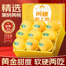 SMVP正宗蒙阴黄桃山东【JJD多地次日达】当季新鲜水果爆甜黄金蜜桃子 5斤甄选装【送礼更有面】净4.5斤 商超级好果【单果3两起】巨甜