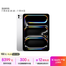 Apple/苹果 iPad Pro 11英寸 M4芯片 2024年新款平板电脑(256G WLAN版/MVV93CH/A)银色