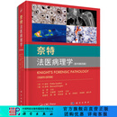 奈特法医病理学 原书第四版第4版科学出版社正版书籍法医学法医鉴定司法鉴定DNA尸体解剖法医病理学鉴定实用图谱 科学出版社