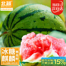 北蔬 西瓜种子种苗冰糖麒麟8424盆栽西瓜籽 冰糖麒麟瓜种子约50粒x3包