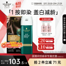 施华蔻（Schwarzkopf）怡然一按染泡泡染发乳3.0摩卡暖棕 染发剂植物染发膏轻松多次盖白