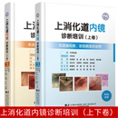 上消化道内镜诊断培训 上卷+下卷 消化道内镜诊断培训 下卷2册 上消化道内镜诊断图谱下消化道内镜诊断图谱内镜诊断与鉴别珍断图谱 消化内科医学书籍 2册上消化道内镜诊断培训 上卷+下卷