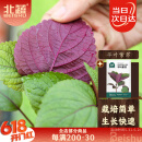 北蔬 紫苏种子种苗食用苏子叶蔬菜种籽 平叶紫苏(双色)种子5g约1200粒